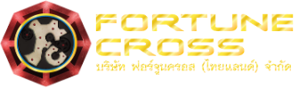fortune cross logo-color
